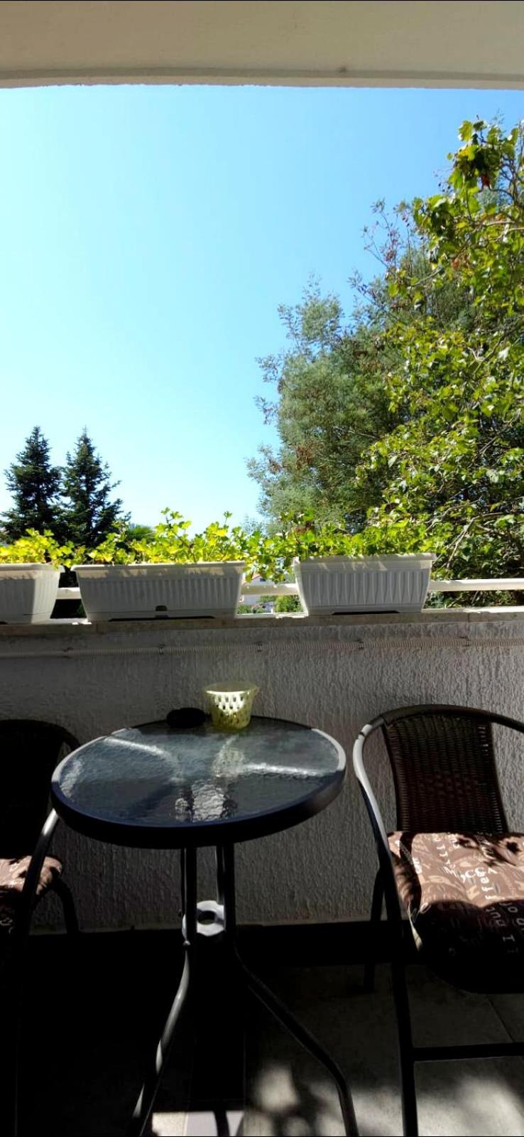 Apartamento Diana Poreč Exterior foto